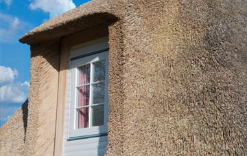 Ilmer thatch roof disadvantages